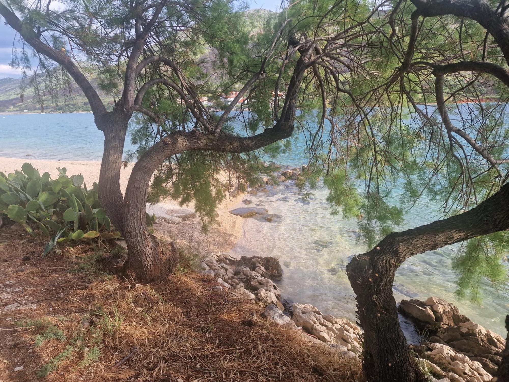 Camp Ante-Gojko Otel Grebaštica Oda fotoğraf